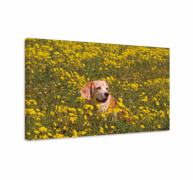 Happy dog outdoors platno slikarstvo pes - TenStickers