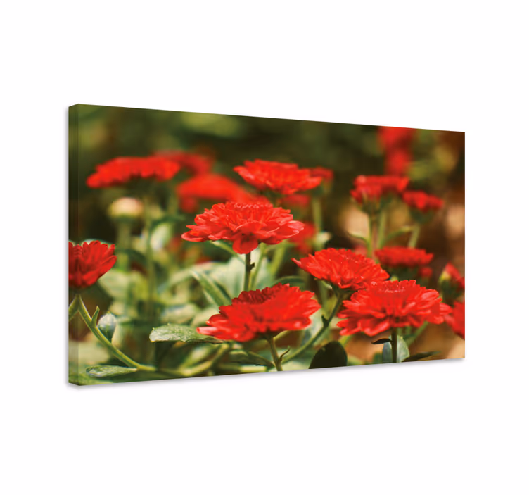 Red flower blooms slikarsko platno z rastlinami - TenStickers