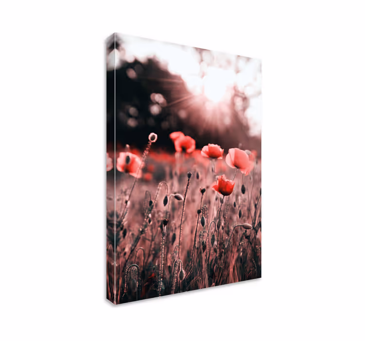 Poppy meadow radiance slikarsko platno z rožami - TenStickers