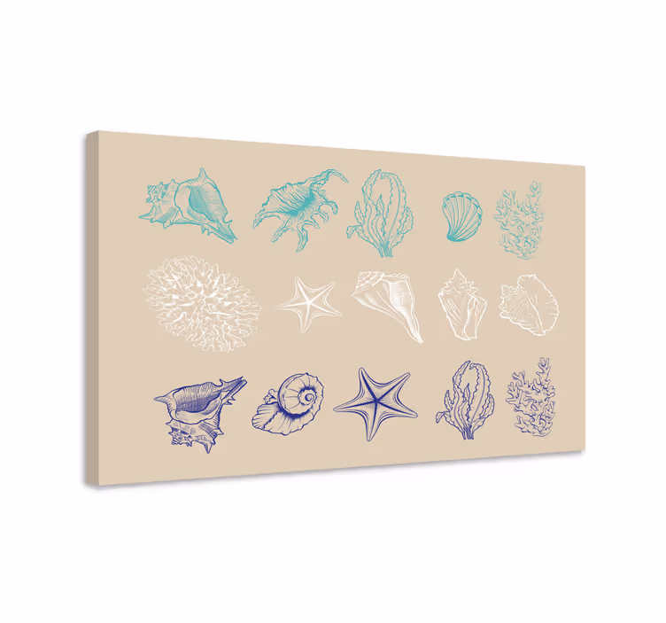 Coastal shell collection slikanje na platnu - TenStickers