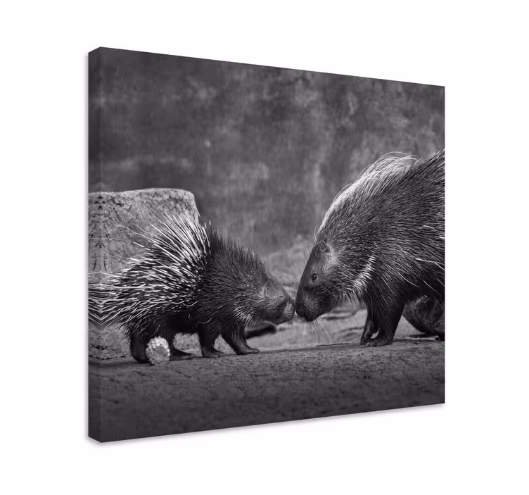 Porcupine interaction platna slike z motivi živali - TenStickers