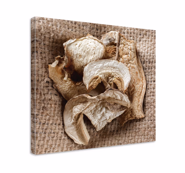 Dried mushroom arrangement s cvetjem in rastlinami - TenStickers