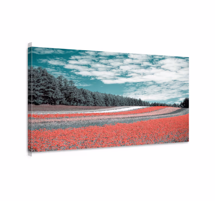 Vibrant flower field platno slika zemljevidov - TenStickers