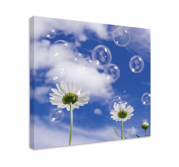 Daisies and bubbles slikarsko platno z rožami - TenStickers