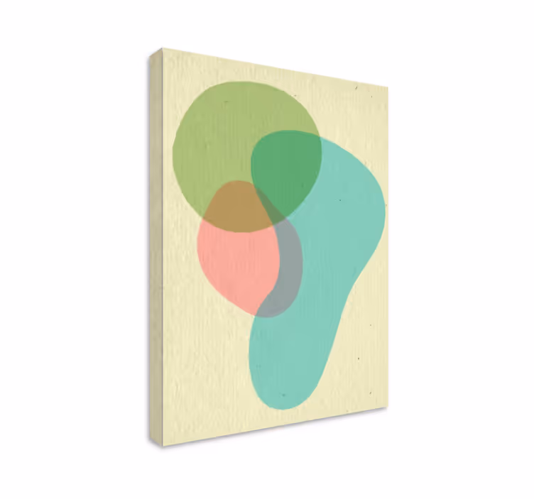 Fluid shape composition povzetek na platnu - TenStickers