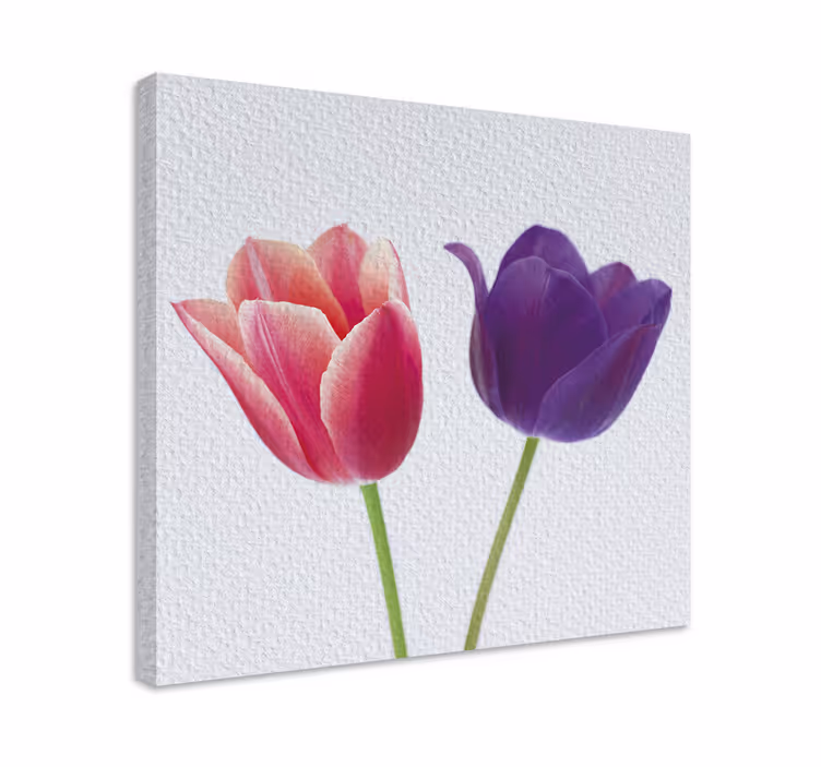 Vijolično in roza tulipani cvet platno - TenStickers