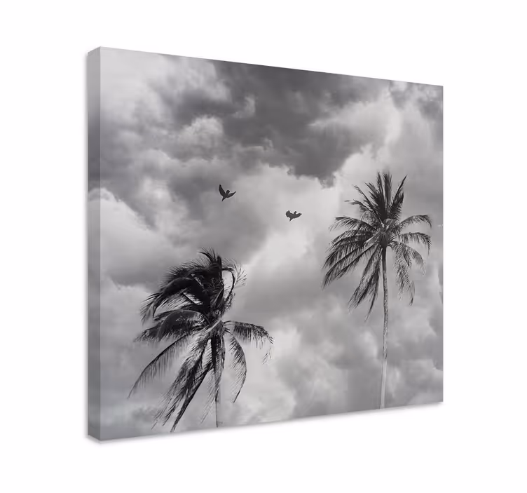 Palm trees outline slikarsko platno z rastlinami - TenStickers