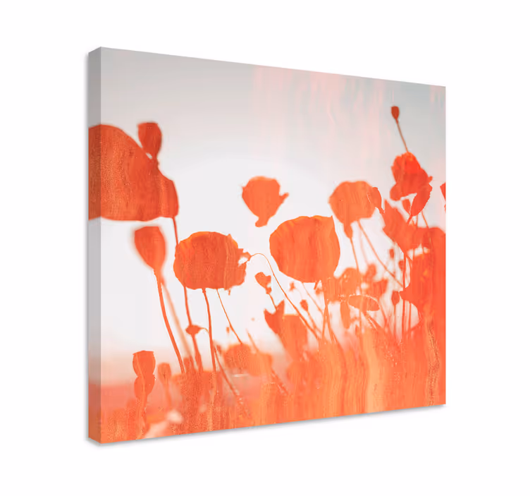 Delicate blooming poppies slikarsko platno z rožami - TenStickers