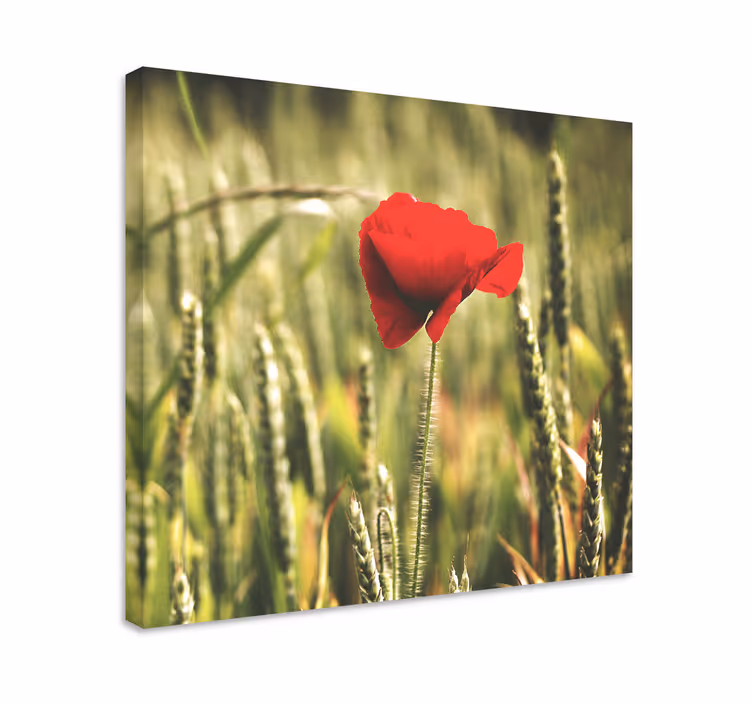 Red flower bloom slikarsko platno z rožami - TenStickers