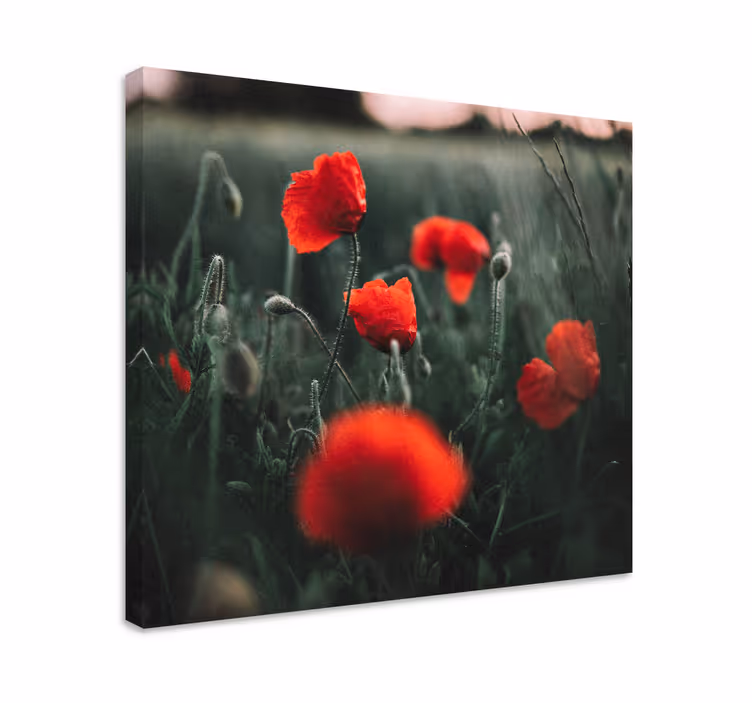 Vivid poppy blooms slikarsko platno z rožami - TenStickers