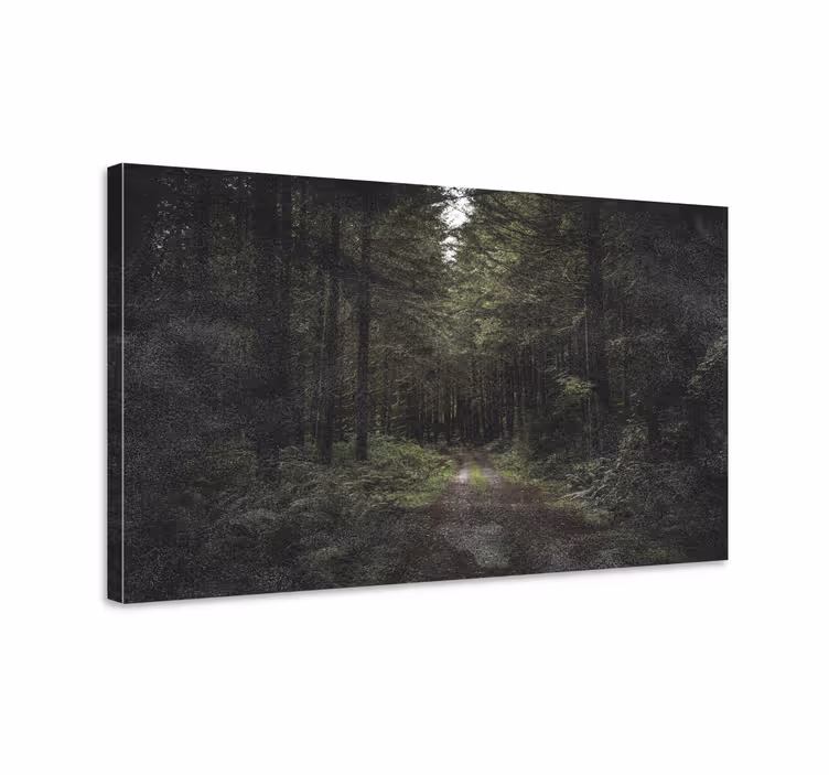 Forest pathway serenity na platnu zemljevidov - TenStickers