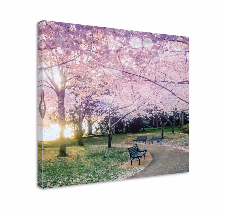 Cherry blossom pathway slikarsko platno z rastlinami - TenStickers