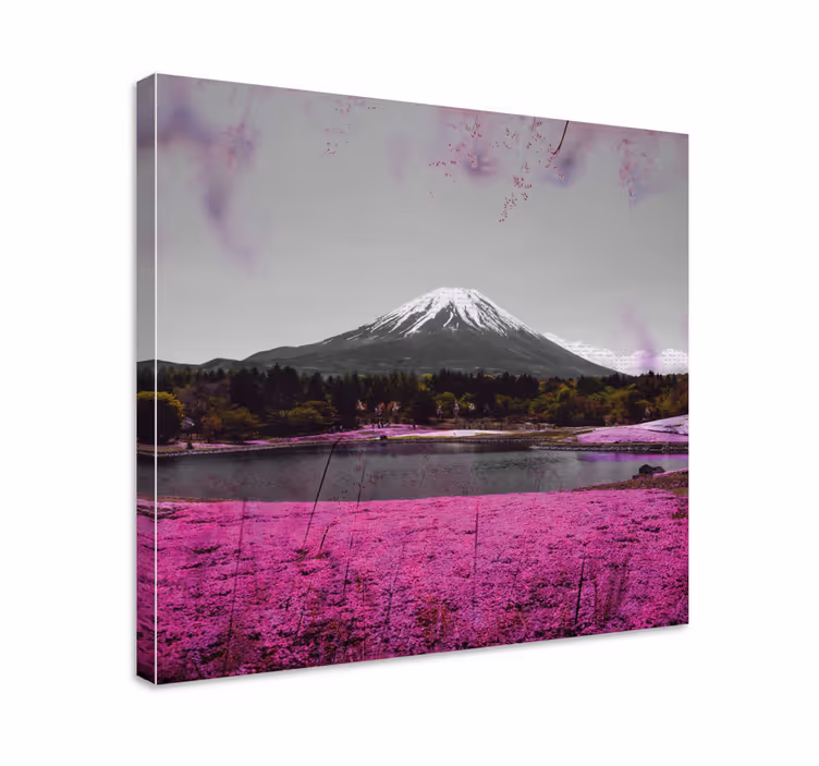 Mount fuji reflection platno slika zemljevidov - TenStickers