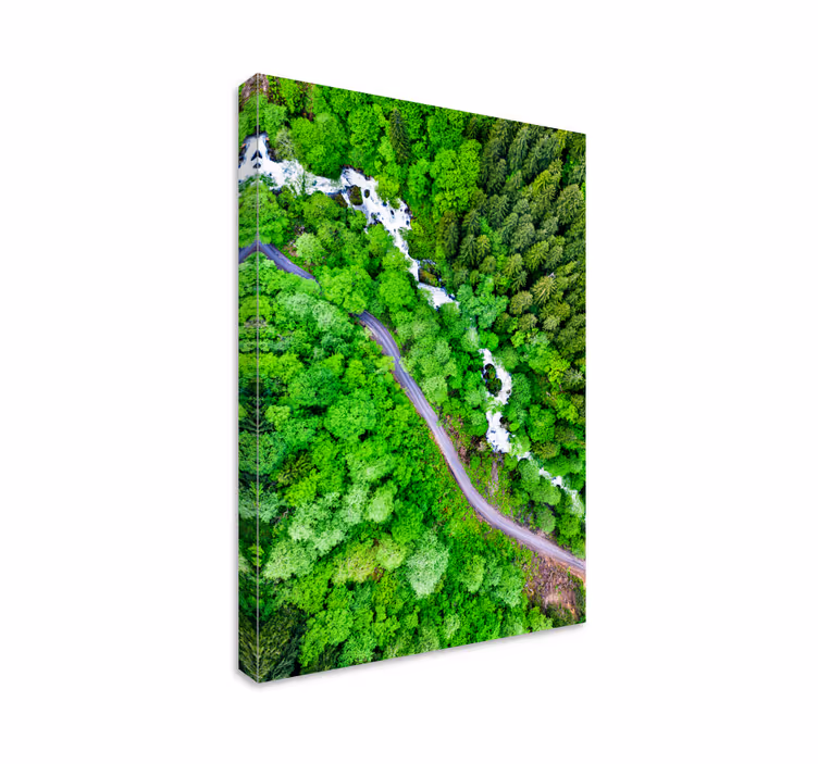 Winding forest river platno slika zemljevidov - TenStickers