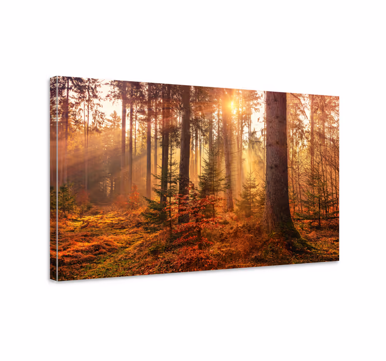 Forest serenity platna z enojnim drevesnim motivom - TenStickers