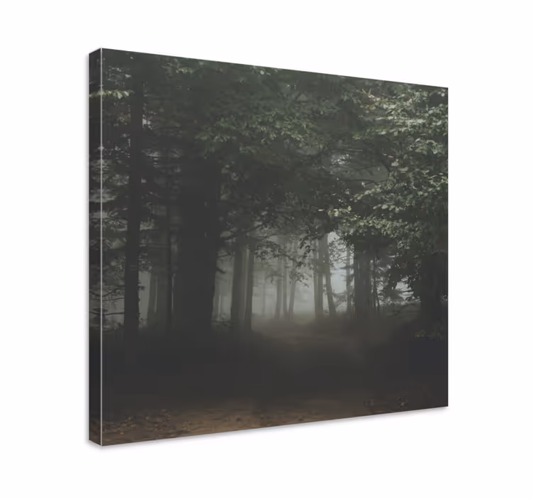 Veiled woodland trail platno zemljevidov - TenStickers