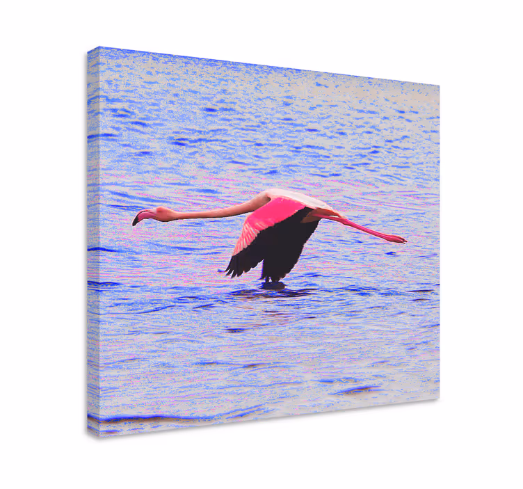 Flamingo in flight platno slikanje ribe - TenStickers