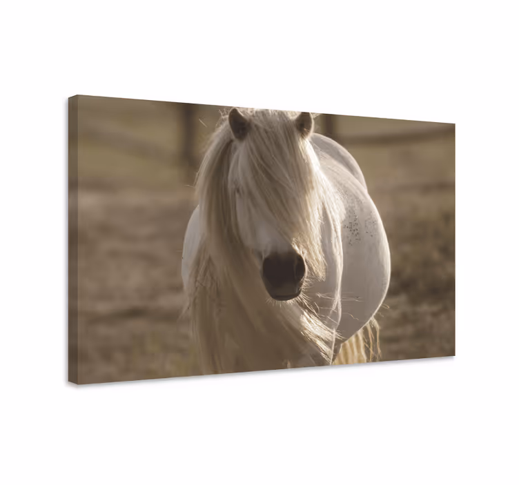 Veličasten portret konja platno slika konj - TenStickers