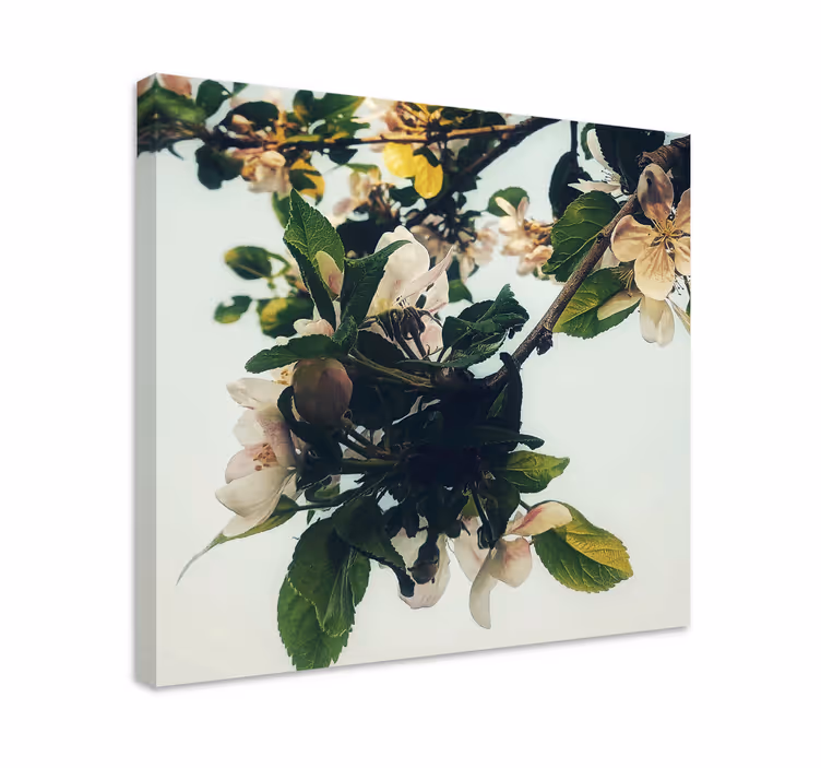 Blooming apple branch slikarsko platno z rožami - TenStickers