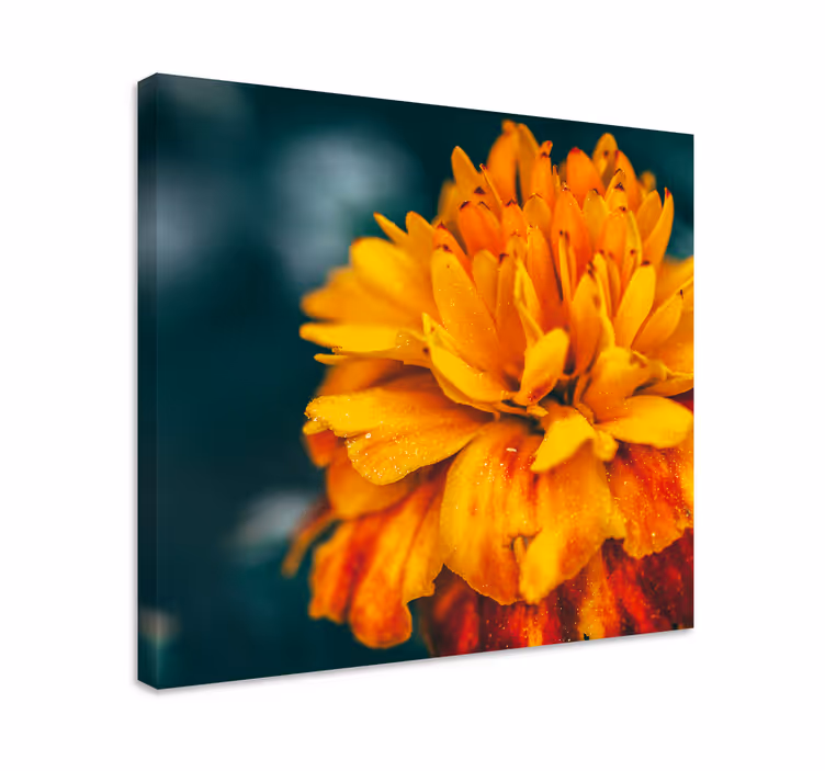 Vibrant orange blossom platno slikanje cvetja - TenStickers