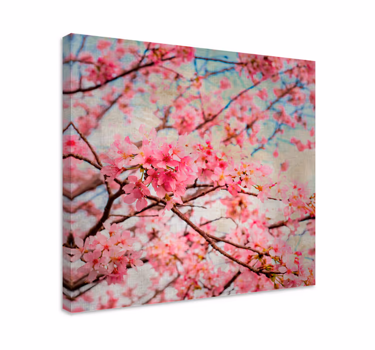 Cherry blossom blooms slikarsko platno z rožami - TenStickers