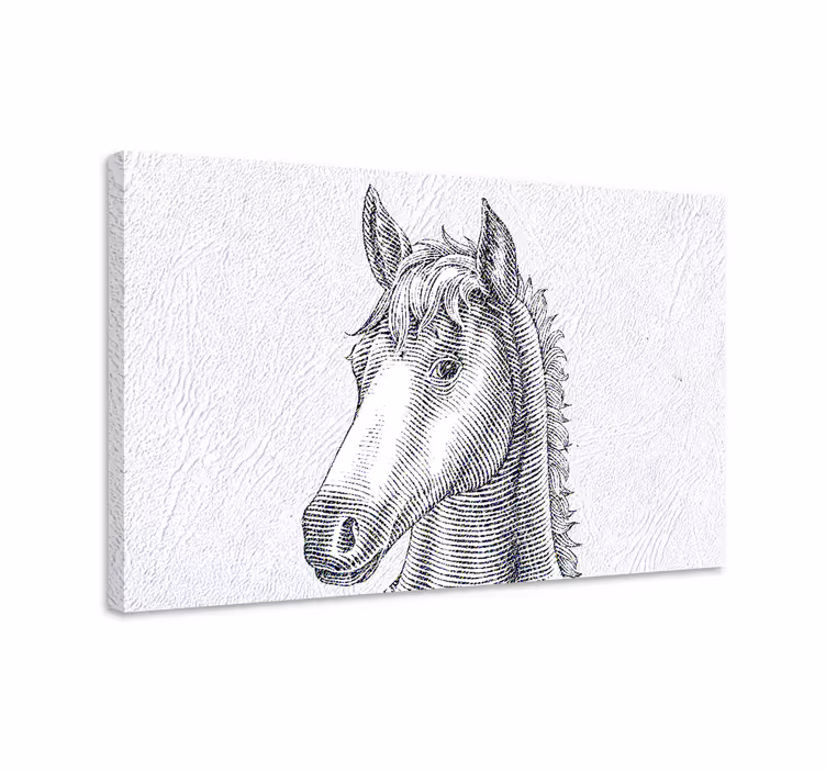 Elegant horse sketch platno slika konj - TenStickers