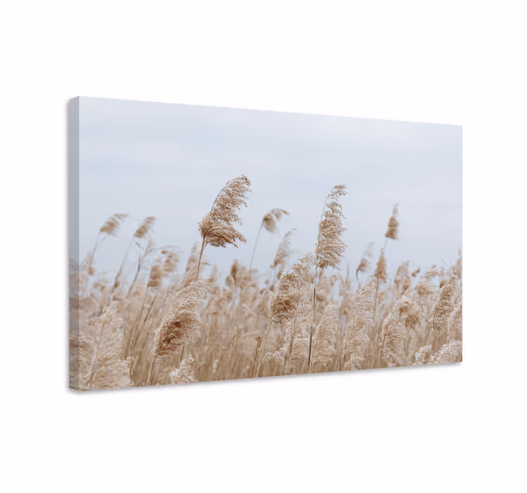 Soft grass breeze slikarsko platno z rožami - TenStickers