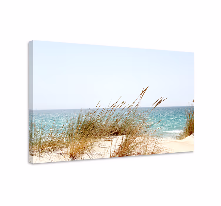 Coastal dunes view platno slika zemljevidov - TenStickers