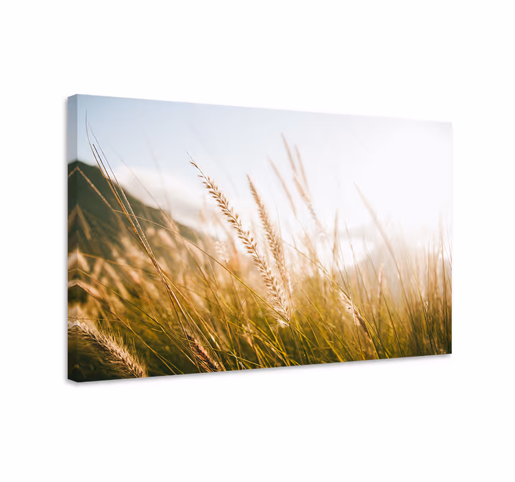 Golden grass fields slikarsko platno z rožami - TenStickers