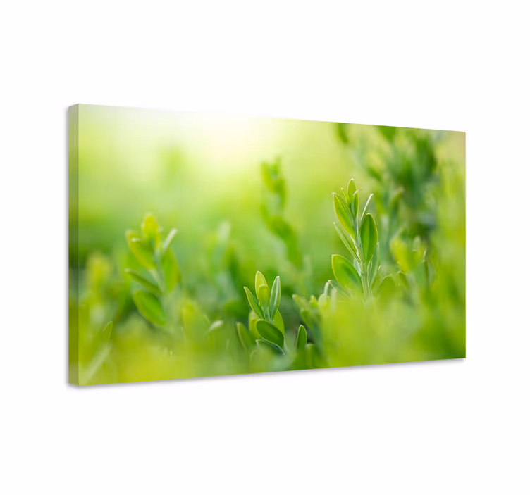 Lush greenery close-up slikarsko platno z rožami - TenStickers