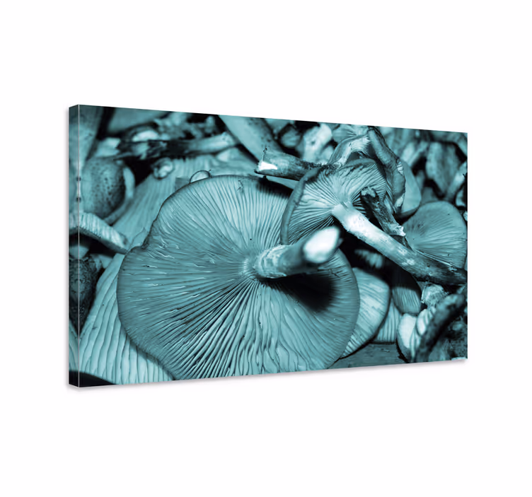 Mushroom growth slikarsko platno z rožami in rastlinami - TenStickers