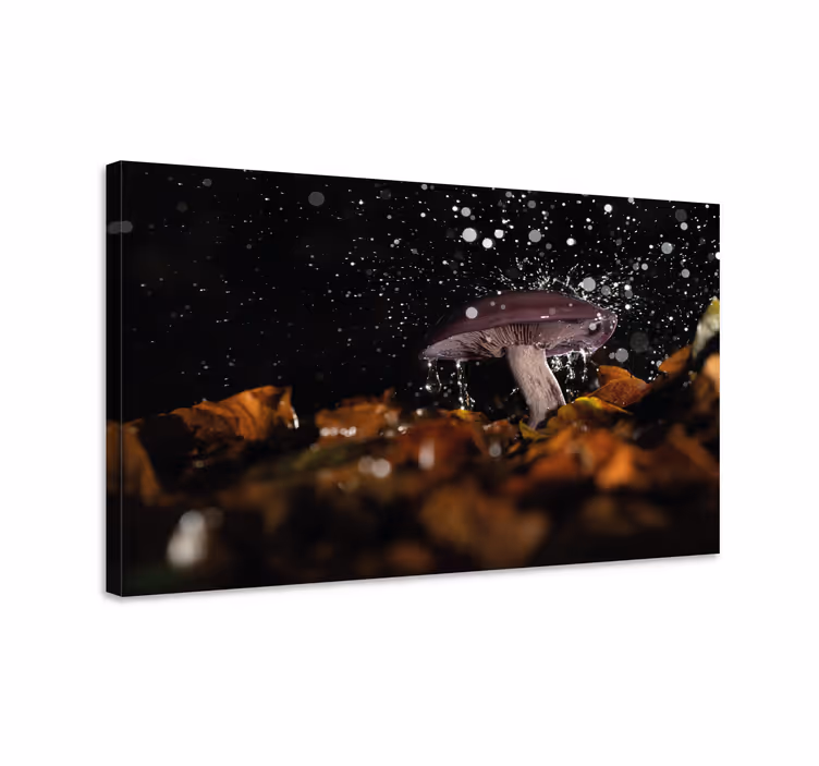 Mushroom splash slikarsko platno z rožami in rastlinami - TenStickers