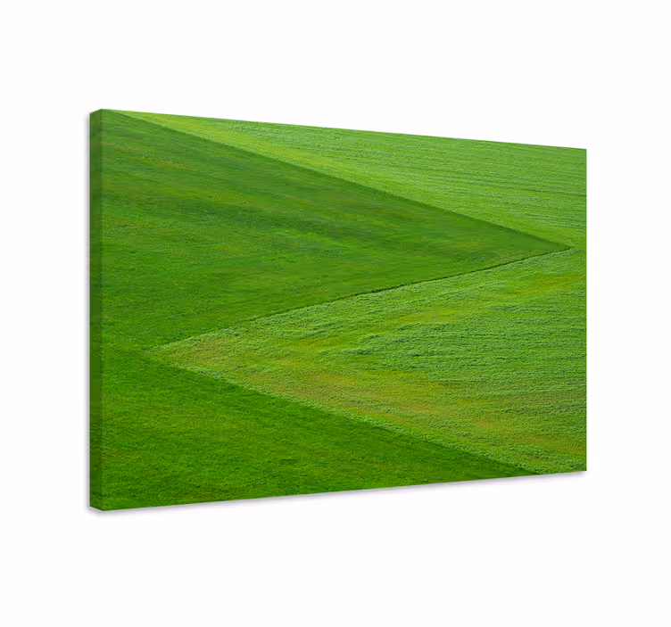Lush green terrain platno slika zemljevidov - TenStickers