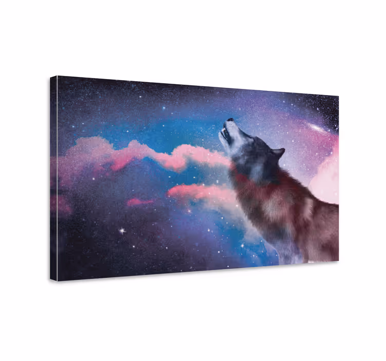 Beli volk zavija ob zvezdah moderno platno - TenStickers
