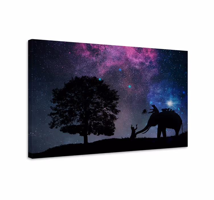 Child elephant interaction olifant slika na platnu - TenStickers