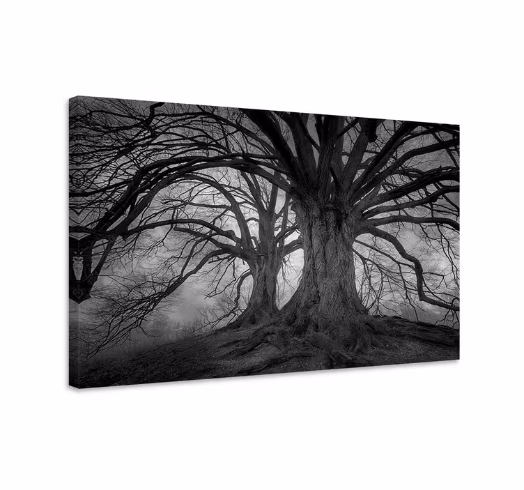 Mysterious leafless trees platna z enojnim motivom - TenStickers