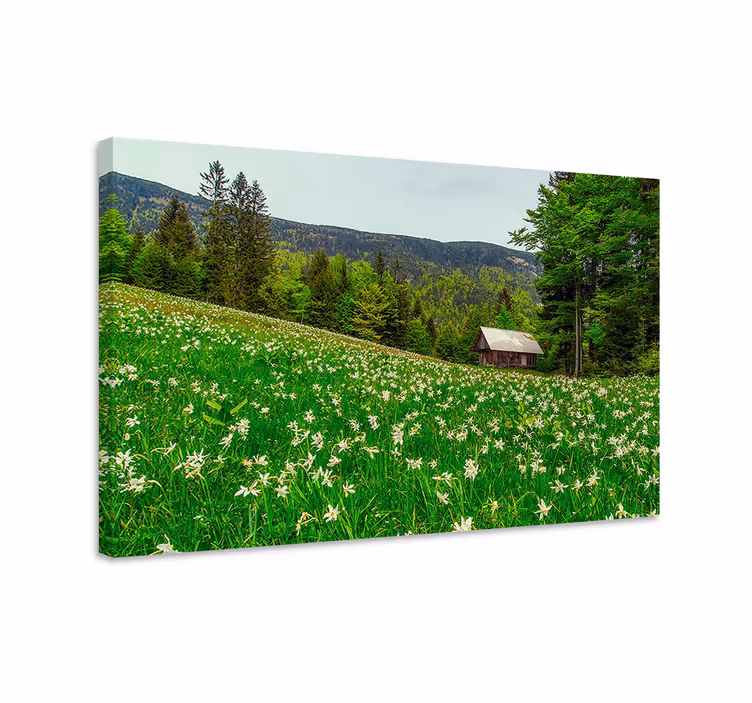Charming countryside cabin platno slika zemljevidov - TenStickers