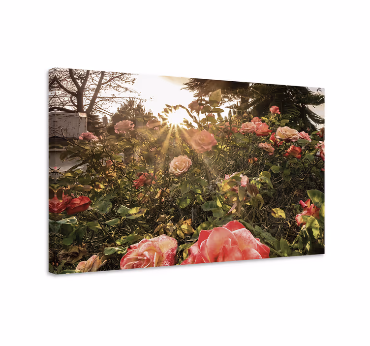 Radiant rose blossoms slikarsko platno z rožami - TenStickers