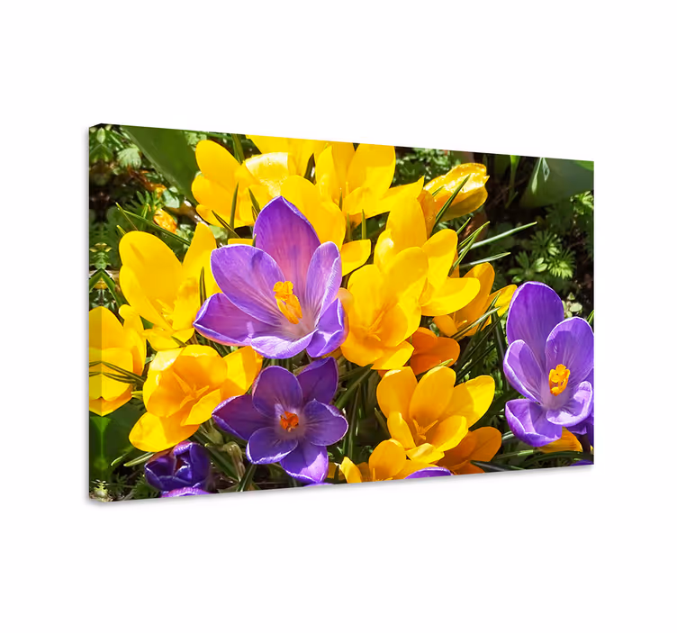 Colorful spring blooms slikarsko platno z rožami - TenStickers