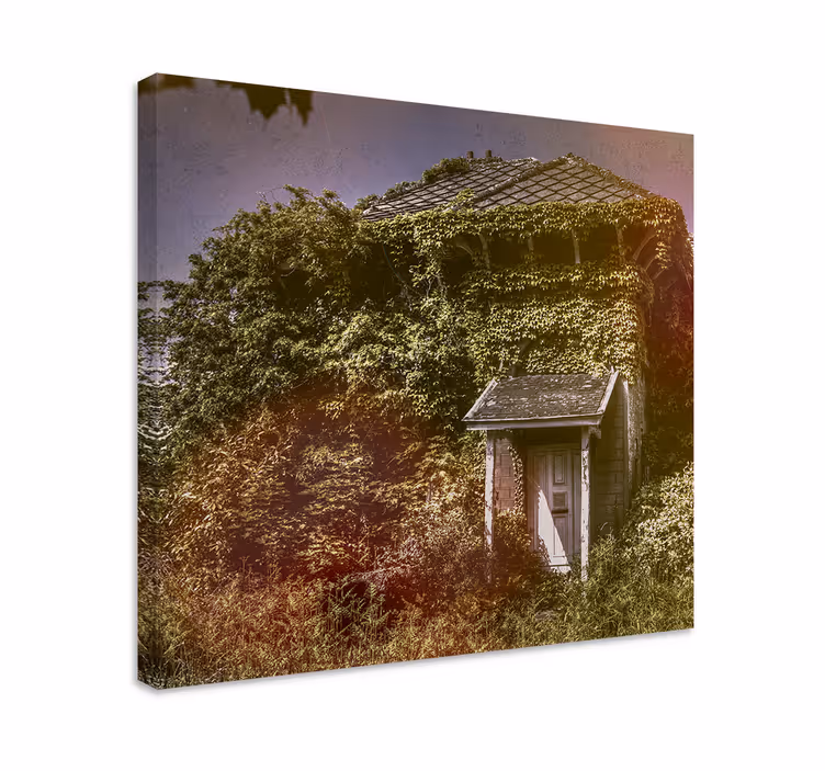 Abandoned rustic cottage platno v rustikalnem slogu - TenStickers
