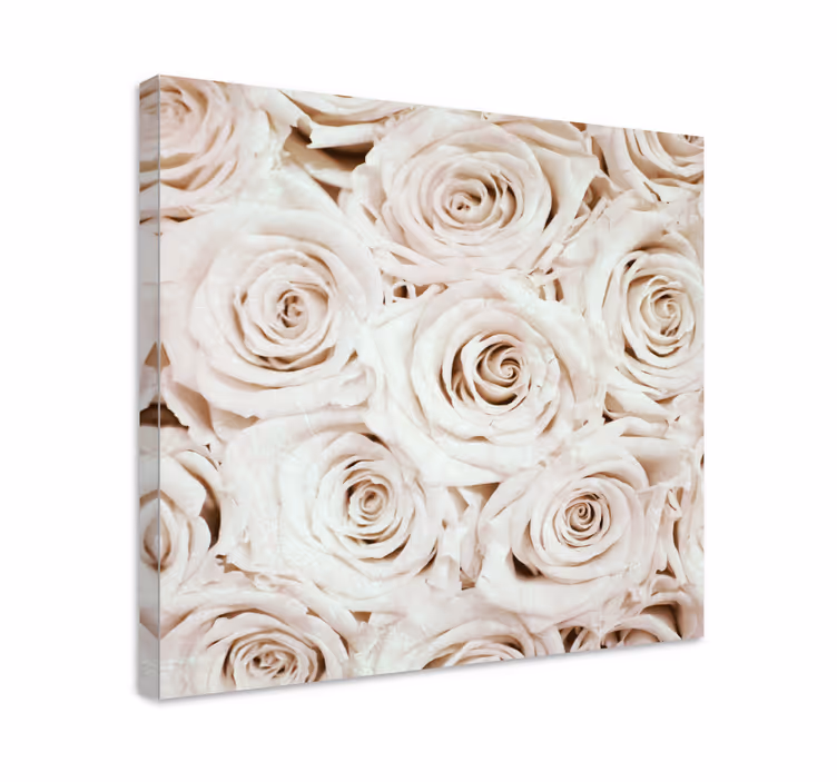 Gentle rose blossom slikarsko platno z rožami - TenStickers