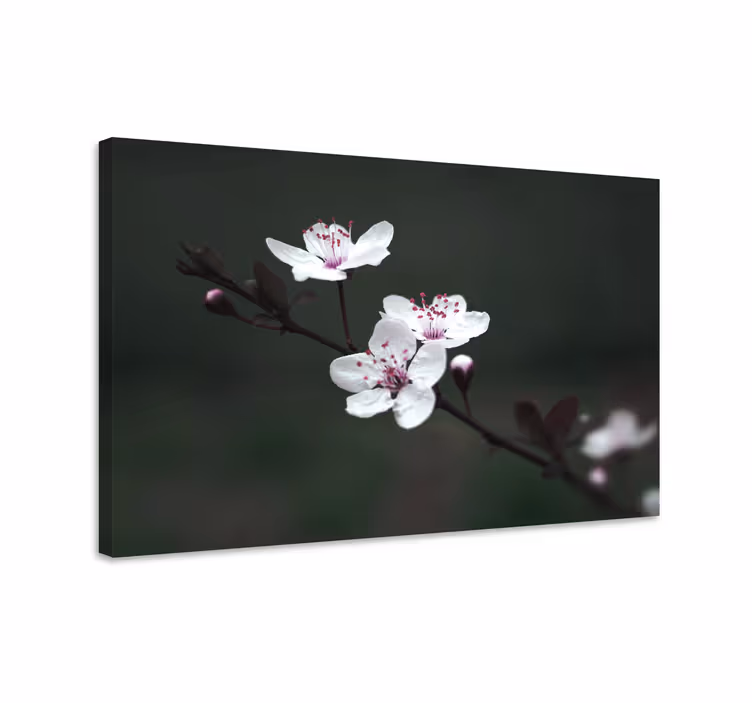 Delicate blossoms blooming slikarsko platno z rožami - TenStickers