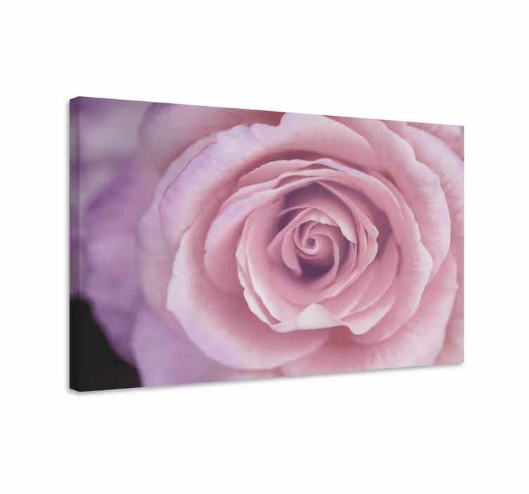 Pink floral detail slikarsko platno z rožami - TenStickers