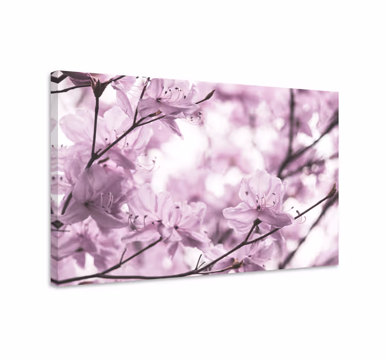 Delicate floral blooms slikarsko platno z rožami - TenStickers