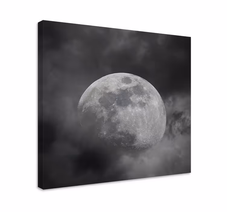 Platno za krajinsko oblikovanje sivi planet - TenStickers