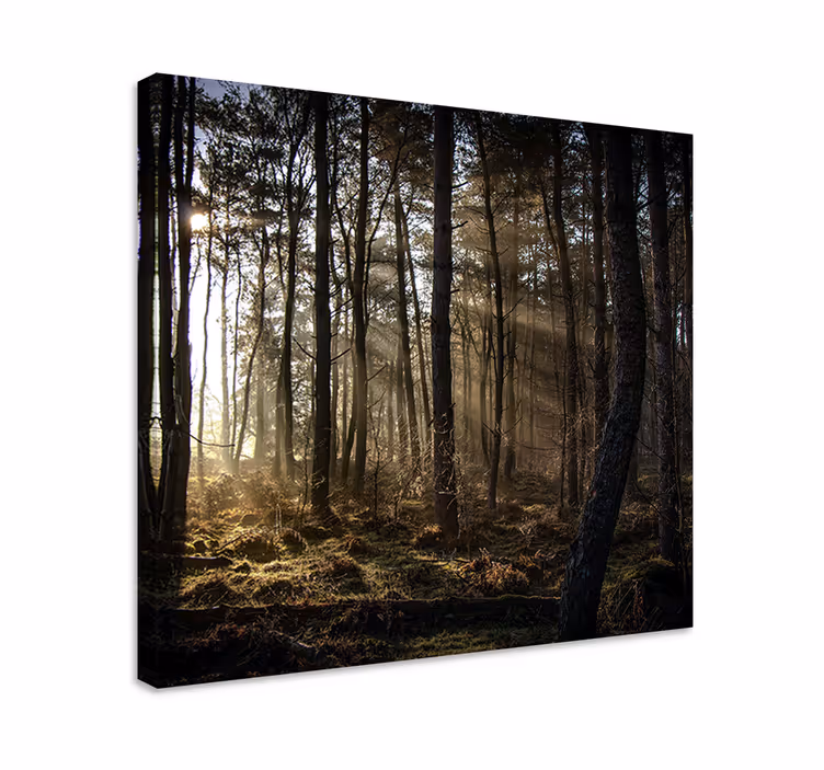 Začaran gozdni prizor platno slika zemljevidov - TenStickers