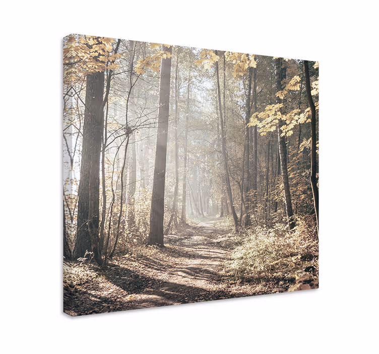 Mist covered path platno slika zemljevidov - TenStickers