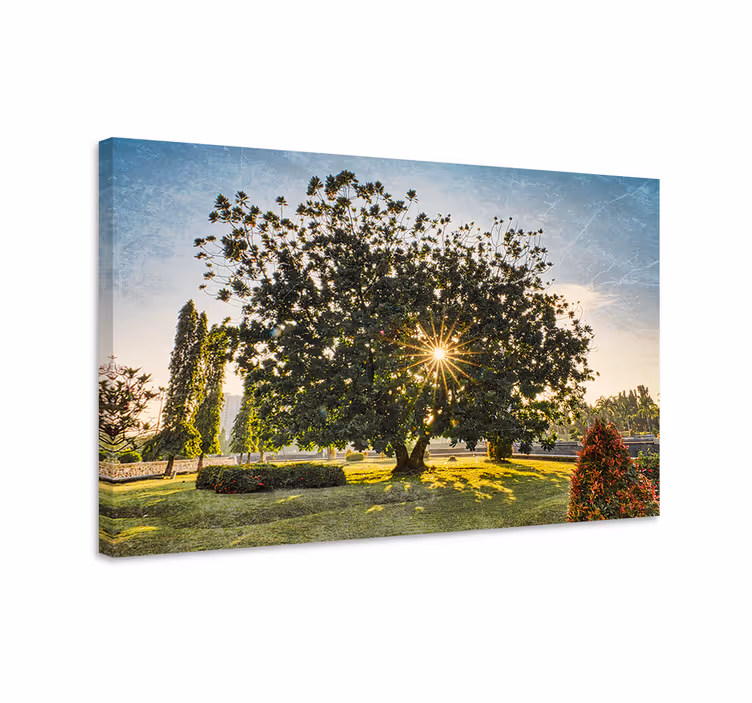 Sončno poletje zeleni park krajinsko platno - TenStickers