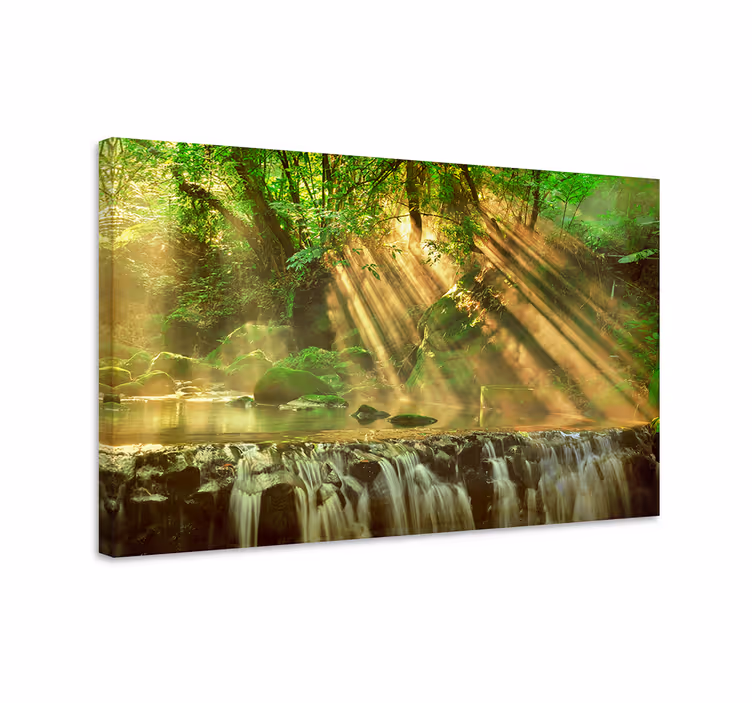 Sunlit forest stream platno slika zemljevidov - TenStickers