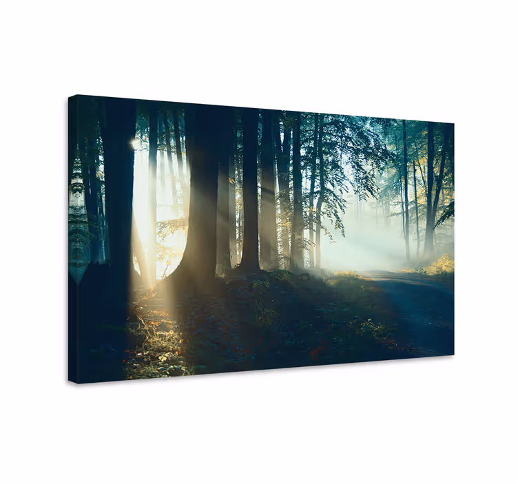 Misty woodland trail platno slika zemljevidov - TenStickers